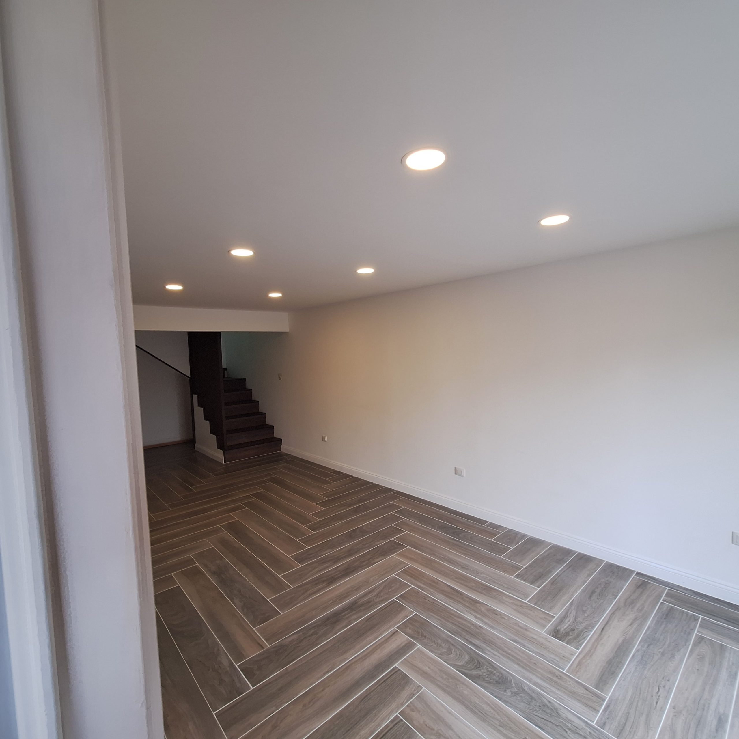 Ikreando El Bosque 2