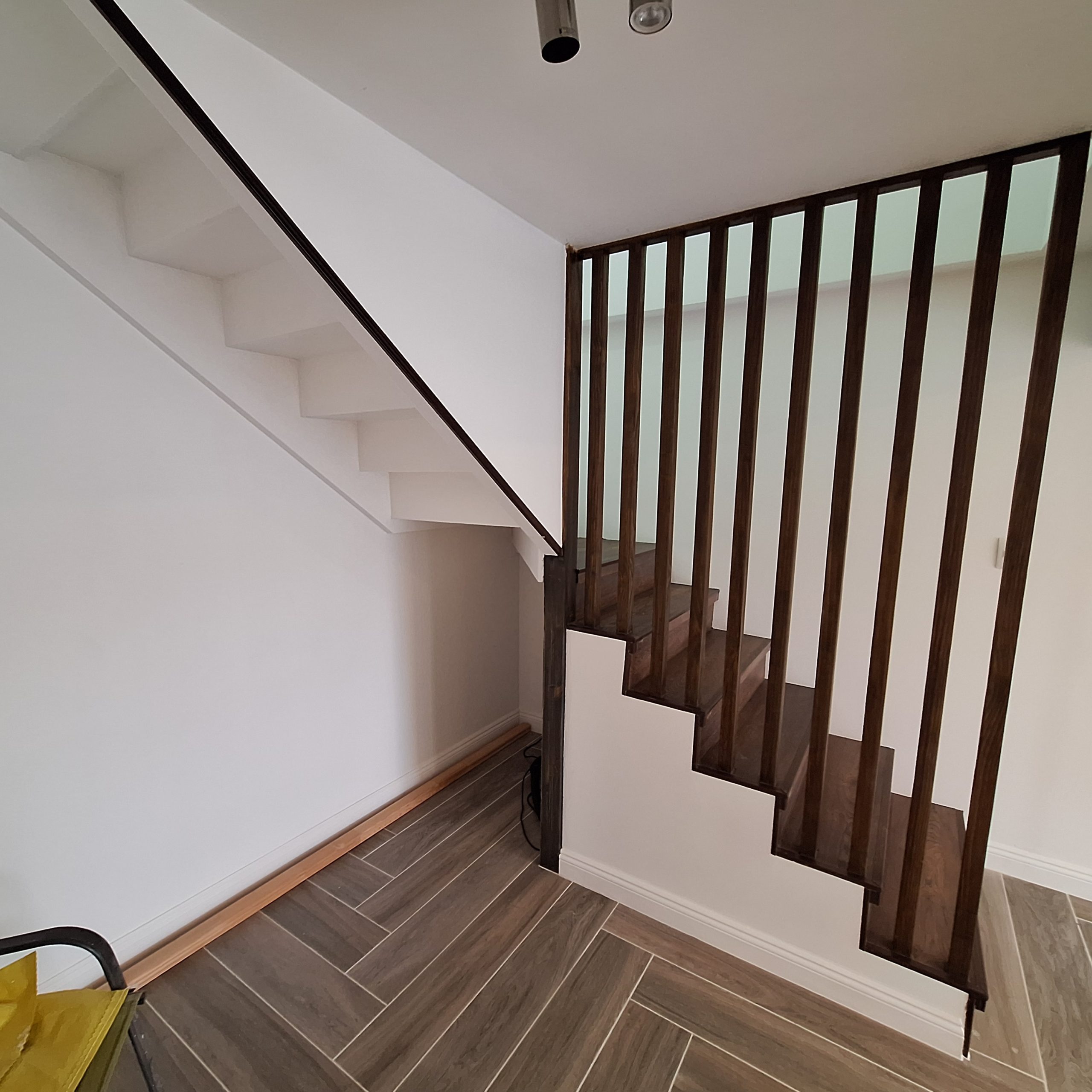 Ikreando El Bosque 3